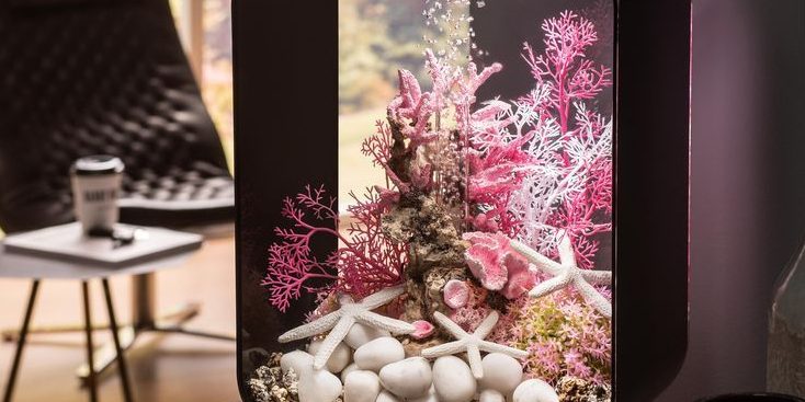 Hiasan Aquarium Warna Pink